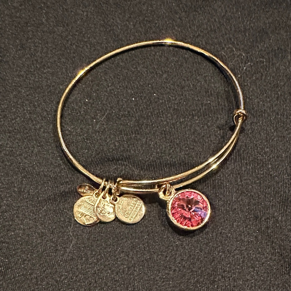 Alex and Ani Gold Bracelet with Pink Charm